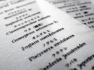 ng00136a06_12.jpg