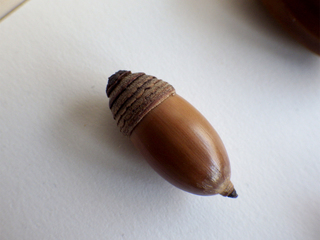 ng00227a06_14.jpg